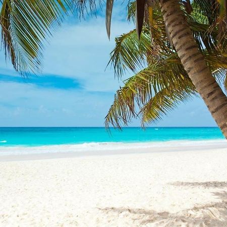 All Season Paradise In Cortez Bradenton Ngoại thất bức ảnh