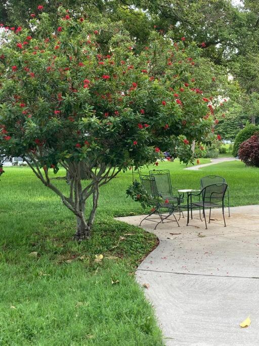 All Season Paradise In Cortez Bradenton Ngoại thất bức ảnh